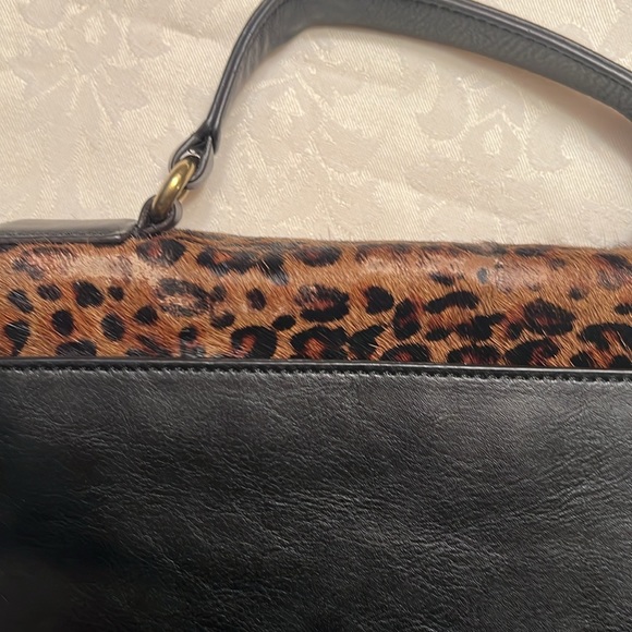 Fossil - Picture 10 of 10